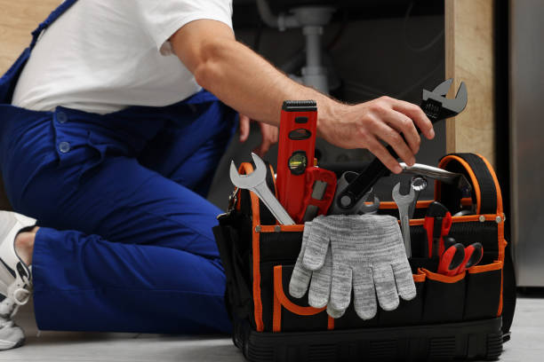 Best Clogged Drain Plumber  in Highland, IN